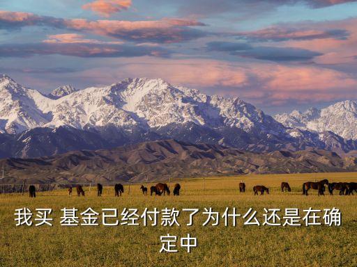 購(gòu)買基金什么時(shí)候生效,當(dāng)天購(gòu)買基金凈值按什么時(shí)候的