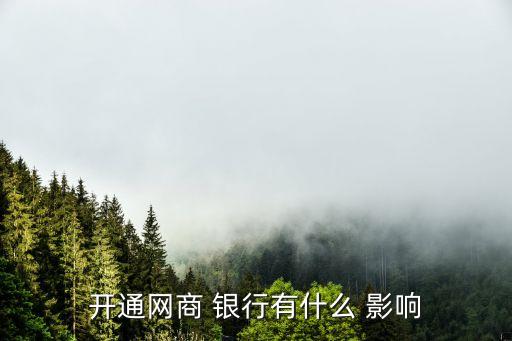 開通網商 銀行有什么 影響