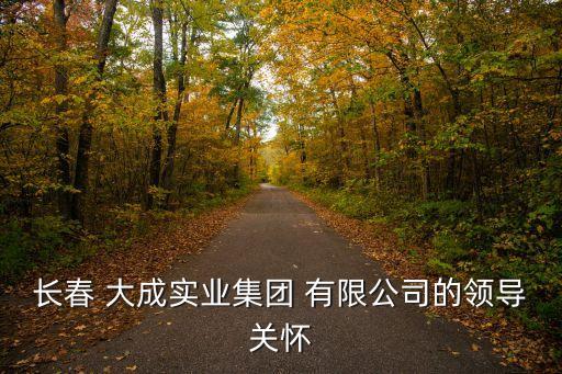 長春 大成實業(yè)集團 有限公司的領導關懷