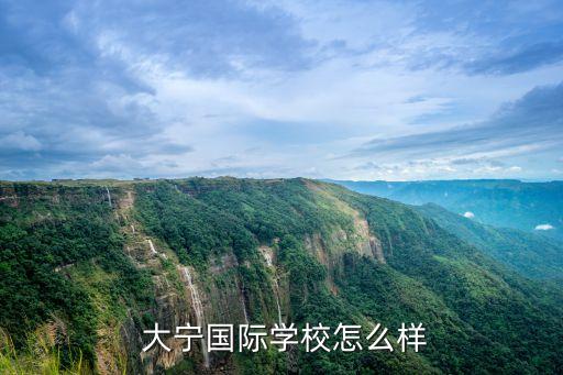  大寧國際學(xué)校怎么樣