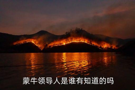  蒙牛領(lǐng)導人是誰有知道的嗎