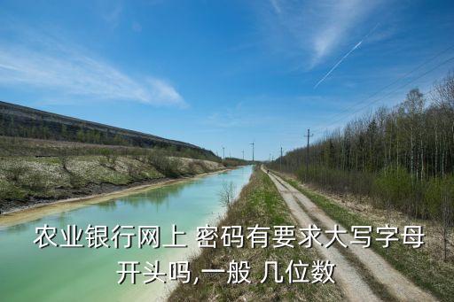  農(nóng)業(yè)銀行網(wǎng)上 密碼有要求大寫字母開(kāi)頭嗎,一般 幾位數(shù)