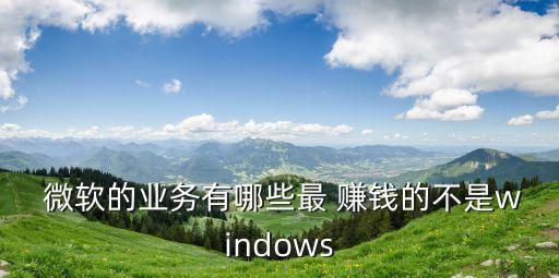  微軟的業(yè)務有哪些最 賺錢的不是windows
