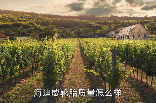 海迪威輪胎質量怎么樣