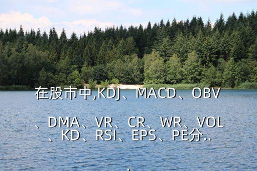 在股市中,KDJ、MACD、OBV、DMA、VR、CR、WR、VOL、KD、RSI、EPS、PE分...