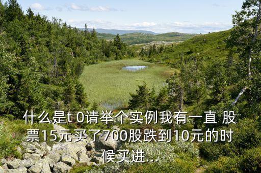 什么是t 0請(qǐng)舉個(gè)實(shí)例我有一直 股票15元買(mǎi)了700股跌到10元的時(shí)候買(mǎi)進(jìn)...
