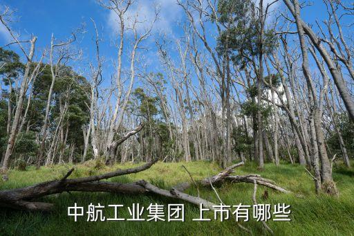  中航工業(yè)集團(tuán) 上市有哪些