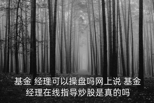  基金 經(jīng)理可以操盤嗎網(wǎng)上說 基金 經(jīng)理在線指導炒股是真的嗎