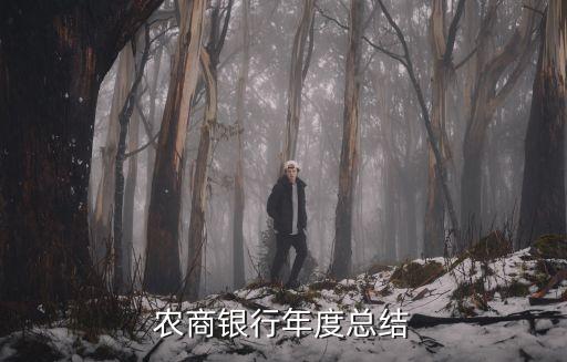農商銀行年度總結