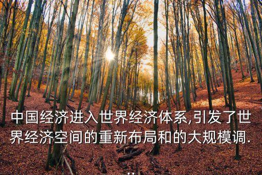 中國經(jīng)濟進入世界經(jīng)濟體系,引發(fā)了世界經(jīng)濟空間的重新布局和的大規(guī)模調...