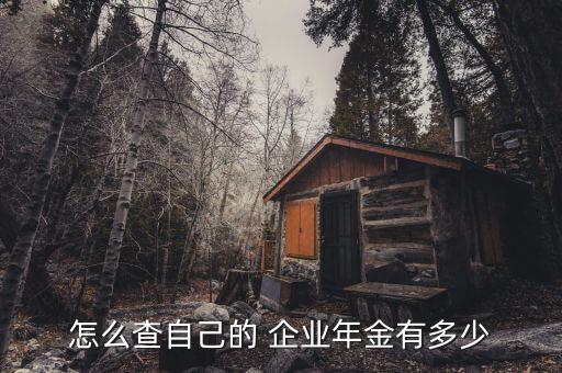 長沙銀行有企業(yè)年金嗎,銀行員工企業(yè)年金一般拿多少