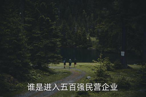 誰是進(jìn)入五百強(qiáng)民營企業(yè)