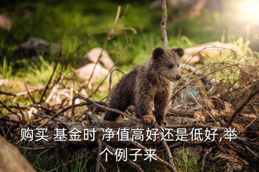 購買 基金時(shí) 凈值高好還是低好,舉個(gè)例子來