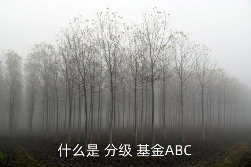 通俗分級(jí)基金,基金怎么理解,通俗點(diǎn)