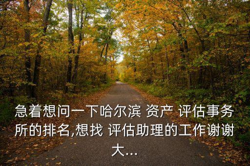 急著想問一下哈爾濱 資產(chǎn) 評估事務(wù)所的排名,想找 評估助理的工作謝謝大...
