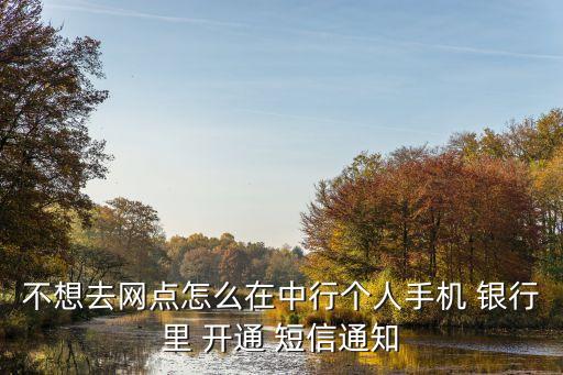 不想去網(wǎng)點(diǎn)怎么在中行個(gè)人手機(jī) 銀行里 開通 短信通知