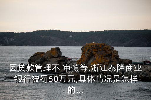銀行違背審慎經(jīng)營,銀行外匯業(yè)務與審慎經(jīng)營評估