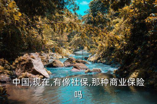 中國(guó),現(xiàn)在,有像社保,那種商業(yè)保險(xiǎn)嗎