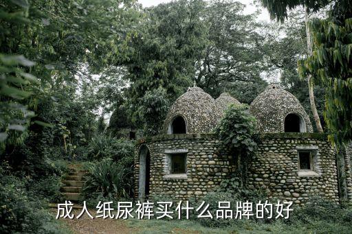 成人紙尿褲買(mǎi)什么品牌的好