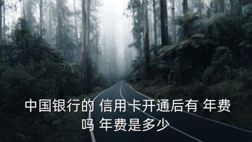  中國(guó)銀行的 信用卡開(kāi)通后有 年費(fèi)嗎 年費(fèi)是多少