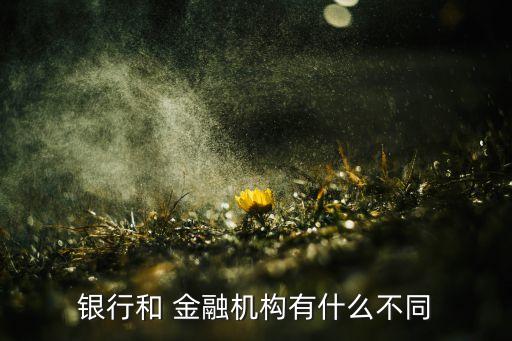 銀行和 金融機構有什么不同