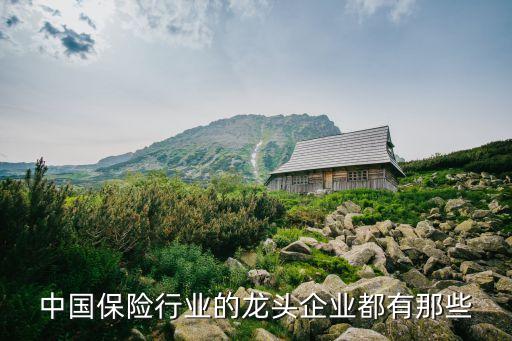 香港中華保險集團(tuán),中華保險集團(tuán)上市最近發(fā)展