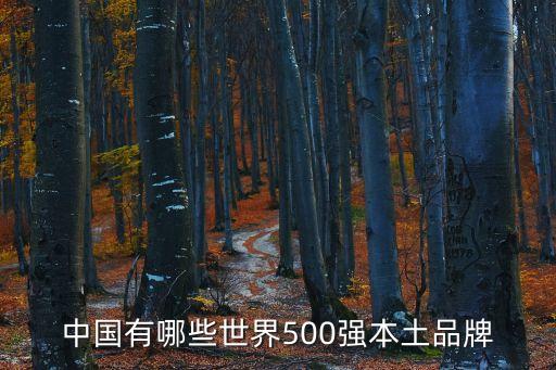 中國有哪些世界500強本土品牌
