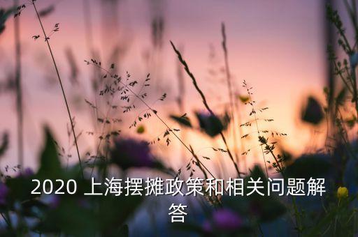 上海紅線(xiàn)搶,上海觀光巴士紅線(xiàn)