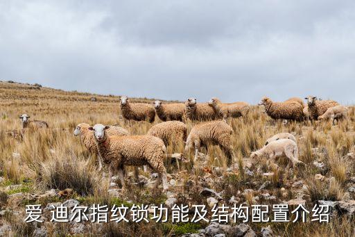 愛(ài) 迪爾指紋鎖功能及結(jié)構(gòu)配置介紹