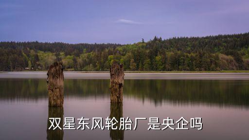  雙星東風輪胎廠是央企嗎