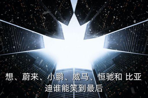想、蔚來、小鵬、威馬、恒馳和 比亞迪誰能笑到最后