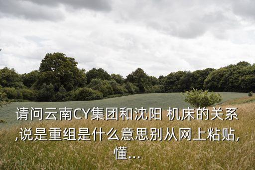 請問云南CY集團和沈陽 機床的關系,說是重組是什么意思別從網上粘貼,懂...