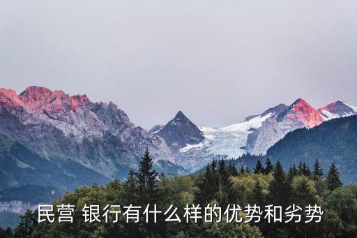  民營(yíng) 銀行有什么樣的優(yōu)勢(shì)和劣勢(shì)