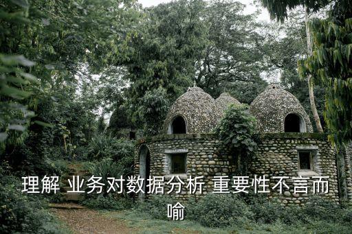 理解 業(yè)務(wù)對(duì)數(shù)據(jù)分析 重要性不言而喻