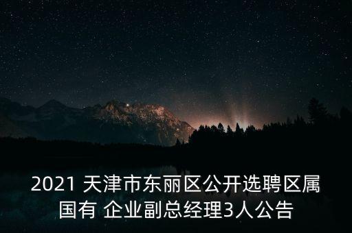 2021 天津市東麗區(qū)公開選聘區(qū)屬國(guó)有 企業(yè)副總經(jīng)理3人公告