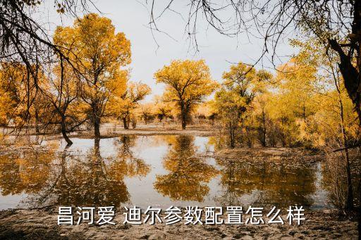 昌河愛(ài) 迪爾參數(shù)配置怎么樣