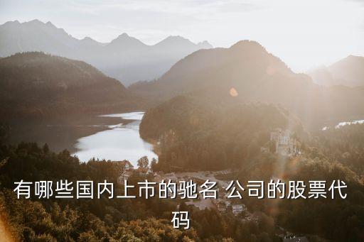 有哪些國內上市的馳名 公司的股票代碼
