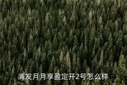 浦發(fā)月月享盈定開(kāi)2號(hào)怎么樣