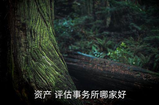  資產(chǎn) 評(píng)估事務(wù)所哪家好