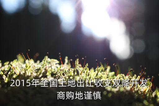 2015年全國(guó)土地出讓收支雙降開發(fā)商購(gòu)地謹(jǐn)慎