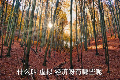 中國(guó)虛擬經(jīng)濟(jì)的產(chǎn)生,虛擬經(jīng)濟(jì)什么時(shí)候產(chǎn)生