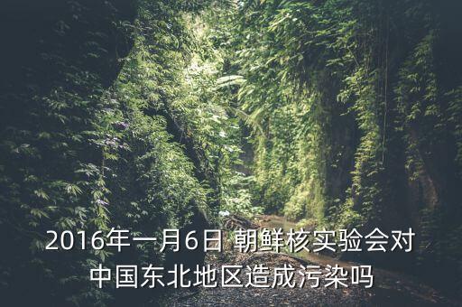 2016年一月6日 朝鮮核實(shí)驗(yàn)會(huì)對(duì)中國(guó)東北地區(qū)造成污染嗎