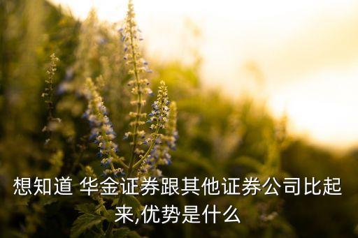 想知道 華金證券跟其他證券公司比起來(lái),優(yōu)勢(shì)是什么