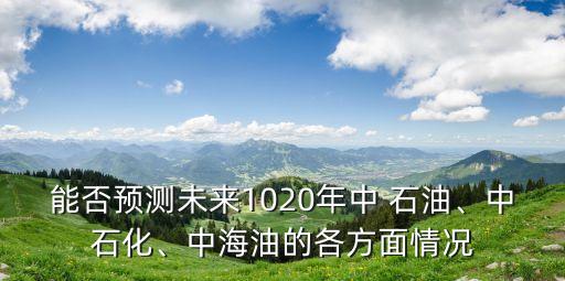 能否預(yù)測未來1020年中 石油、中石化、中海油的各方面情況