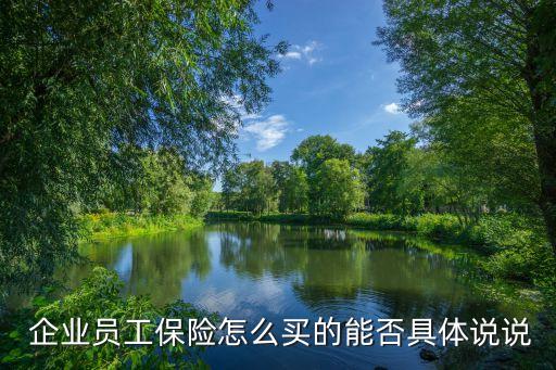  企業(yè)員工保險(xiǎn)怎么買的能否具體說(shuō)說(shuō)