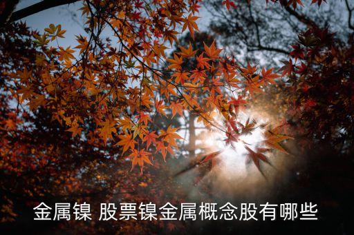 和鎳有關的股票,與6G有關的股票