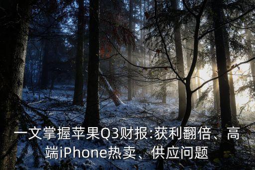 一文掌握蘋果Q3財報:獲利翻倍、高端iPhone熱賣、供應(yīng)問題