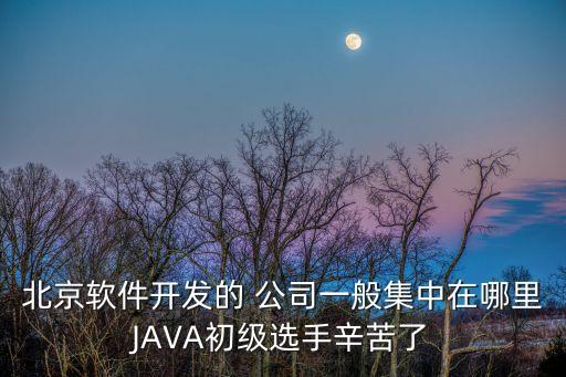 北京軟件開(kāi)發(fā)的 公司一般集中在哪里JAVA初級(jí)選手辛苦了