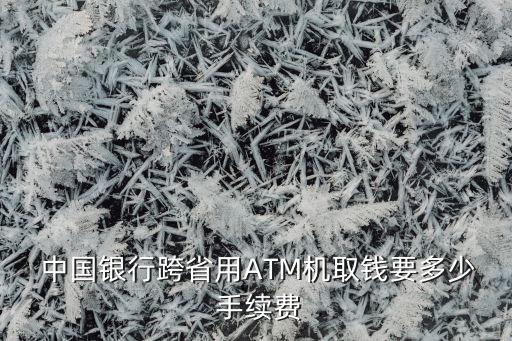 中國(guó)銀行借記卡異地取款手續(xù)費(fèi)