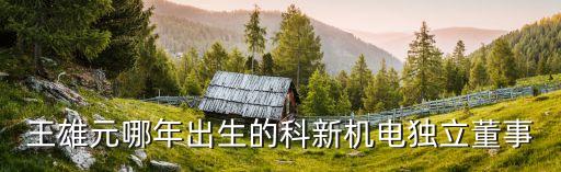 王雄元哪年出生的科新機電獨立董事
